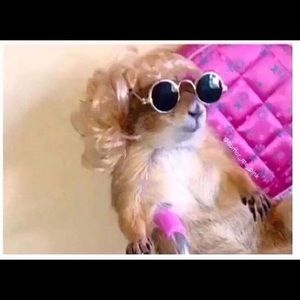 Meet your Posher, Trinity